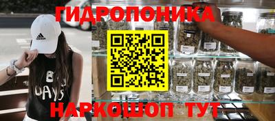 стафф Тула