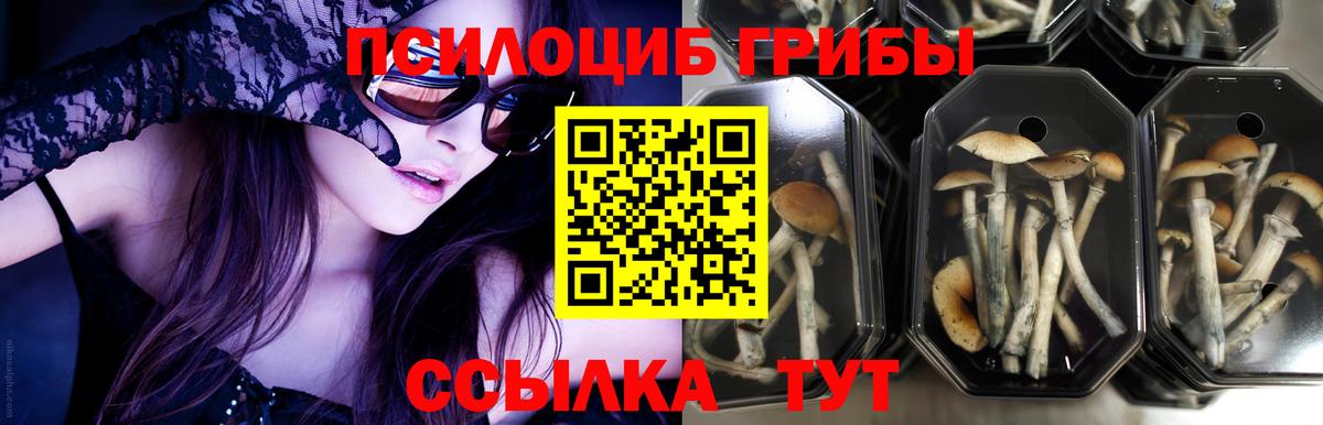 Псилоцибиновые грибы ЛСД  Псилоцибиновые грибы мухоморы  Ухта  Вход с VPN 